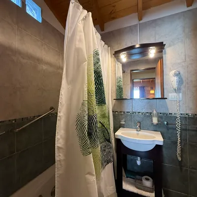Imagen de Cabaña Deluxe n°6