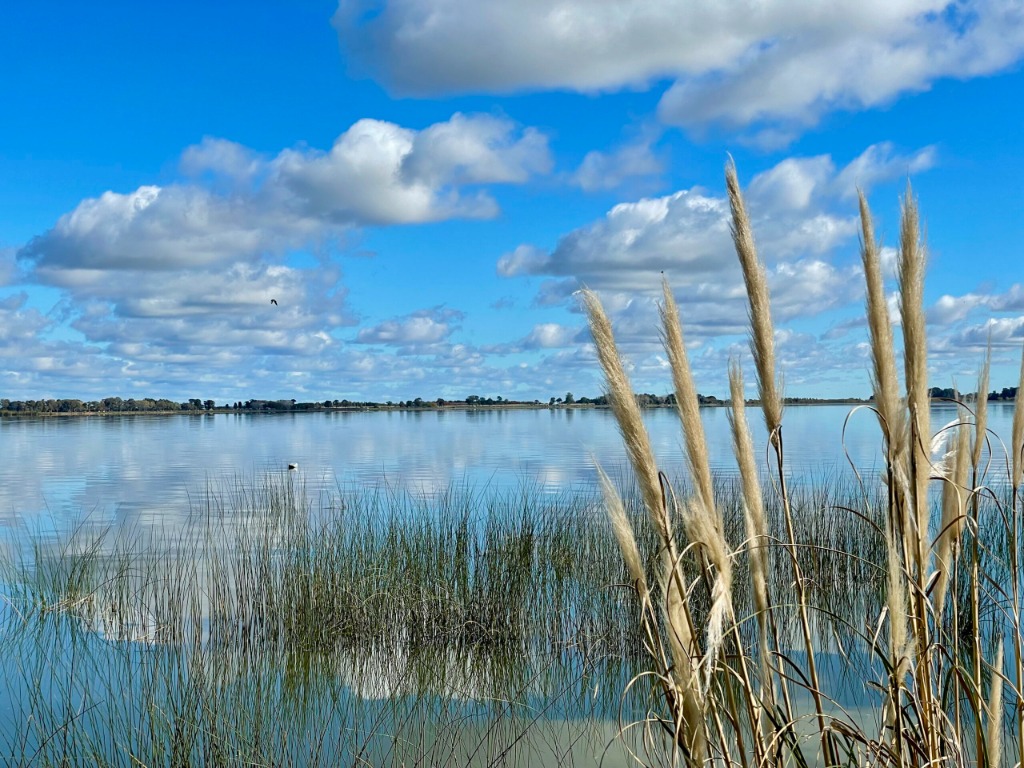 Laguna de Chascomús - Vista 2